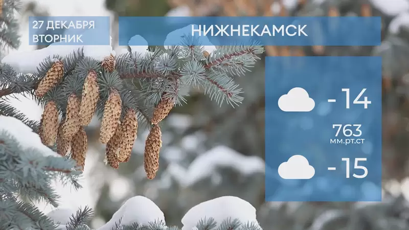 Прогноз погоды в Нижнекамске на 27-е декабря 2022 года
