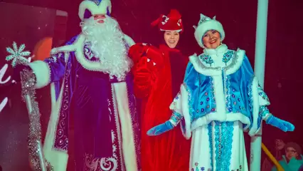 В Нижнекамске состоится фестиваль Дедов Морозов, Снегурочек и снеговиков