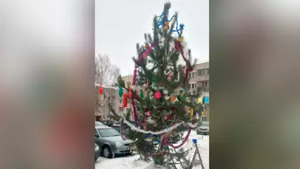 В Нижнекамске жильцы дома своими силами установили ёлку во дворе и построили горку - НТР 24