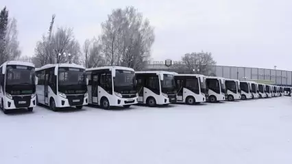Дела транспортные: какие перемены ждут общественные перевозки в Нижнекамске