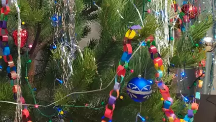 Нижнекамцы умилились «советской» новогодней ёлке одного из жителей города - НТР 24