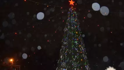 Нижнекамцы с Красного Ключа просят вернуть им новогоднюю елку у дома культуры