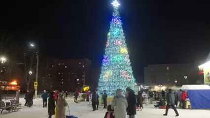 Более 60 полицейских будут обеспечивать порядок в новогоднюю ночь на елочных городках в Нижнекамске