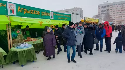 В Татарстане продолжаются традиционные сельскохозяйственные ярмарки - НТР 24