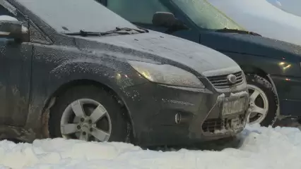 Этот случай из жизни научил нижнекамца всегда заглядывать под машину перед поездкой - НТР 24