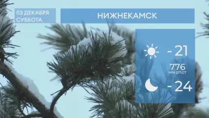 Прогноз погоды в Нижнекамске на 3-е декабря 2022 года