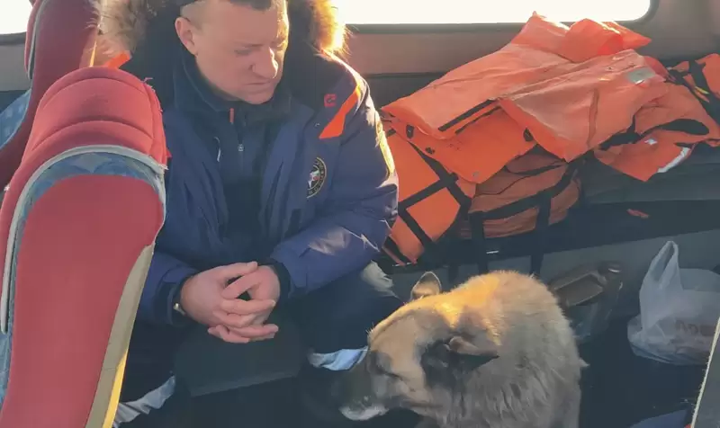 В Татарстане спасли вмёрзшего в лёд на реке Волга пса - ему уже ищут хозяина