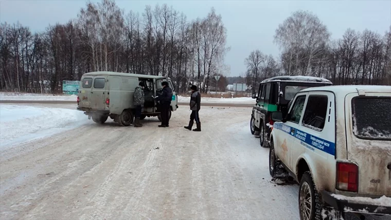 В Татарстане пресекли четыре случая незаконной рубки елей