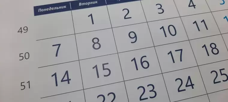 В Госдуме предложили заменить недельные новогодние выходные до «трех активных дней»