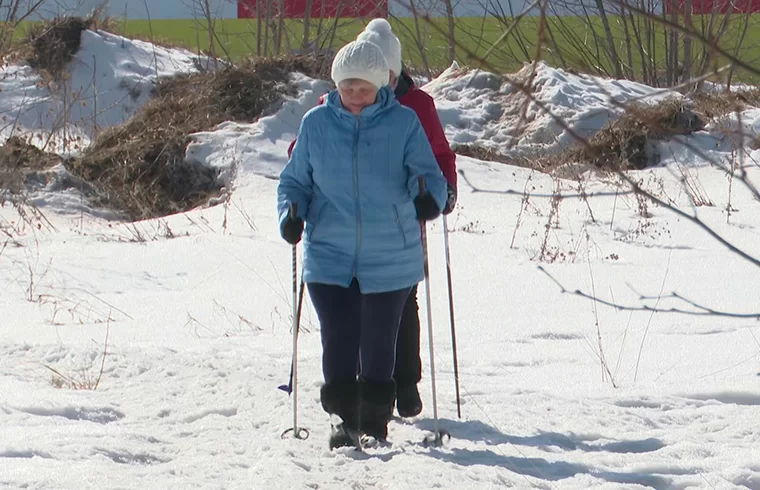 Игры, презентация секций, скандинавская ходьба: в Нижнекамске состоится открытие Года здоровья и здорового образа жизни