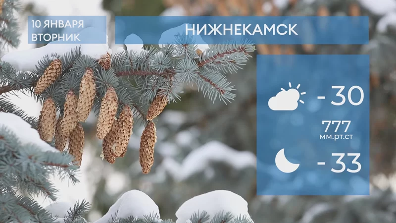 Прогноз погоды в Нижнекамске на 10-е января 2023 года