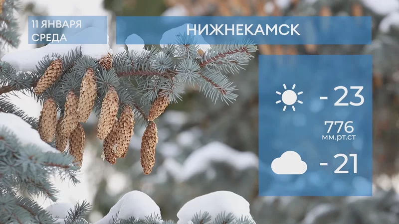 Прогноз погоды в Нижнекамске на 11-е января 2023 года