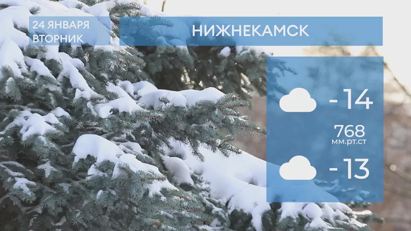 Прогноз погоды в Нижнекамске на 24-е января 2023 года