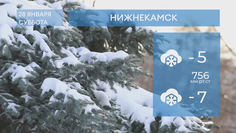 Прогноз погоды в Нижнекамске на 28-е январе 2023 года