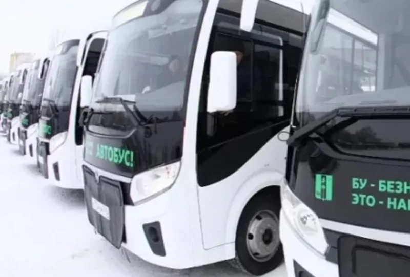 Автоперевозчика в Нижнекамске оштрафуют за промчавшийся мимо остановки автобус