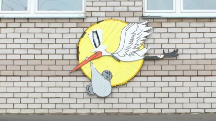 У мобилизованного жителя Нижнекамска родился сын - НТР 24