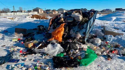 Председатель СНТ «Мичуринец» пообещал освободить мусорный контейнер в выходные - НТР 24