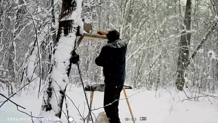 В лесу Нижнекамска фотограф поймал в кадр мужчину, который сгребает семечки из кормушки для птиц - НТР 24