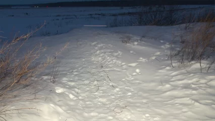 В Нижнекамске за 2022 год было организовано 148 поисковых мероприятий - НТР 24