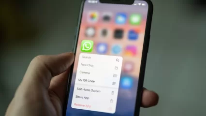В WhatsApp появилась новая функция - НТР 24