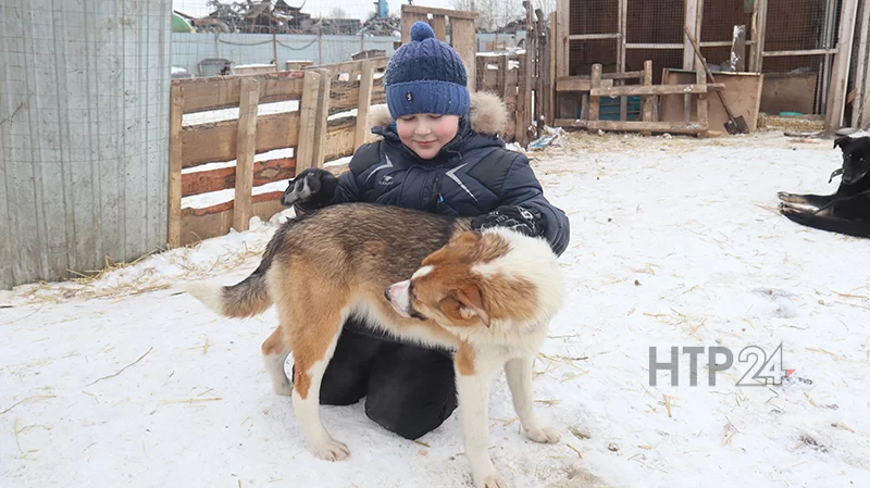 Оксана Калашникова: «Разные собаки, разные судьбы, разные болезни. Собаки – они как люди! Животные здесь показывают детям, как можно любить, а дети получают позитивную энергию от общения с животными»