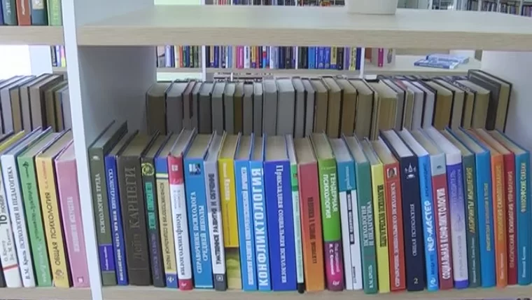 Определены самые читаемые книги на русском языке среди нижнекамцев в 2022 году