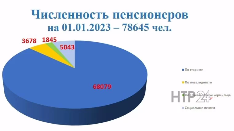 Численность пенсионеров на 1-е января 2023 года в Нижнекамском муниципальном районе