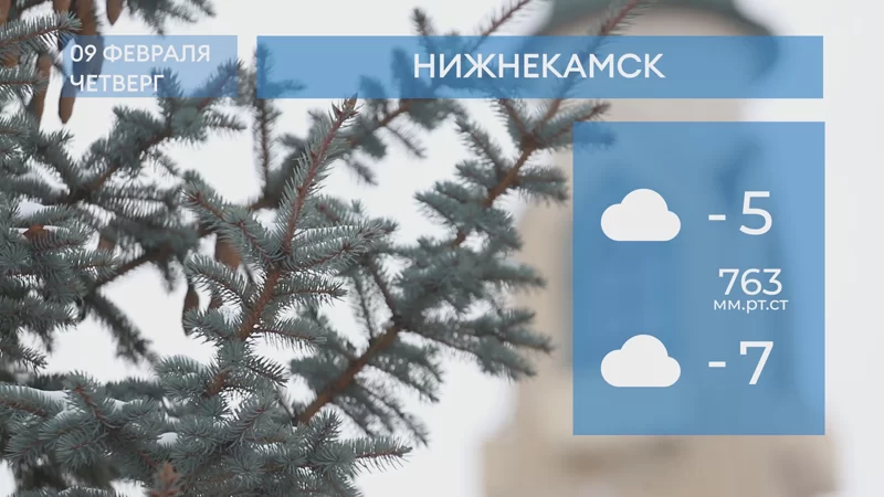 Прогноз погоды в Нижнекамске на 9-е февраля 2023 года