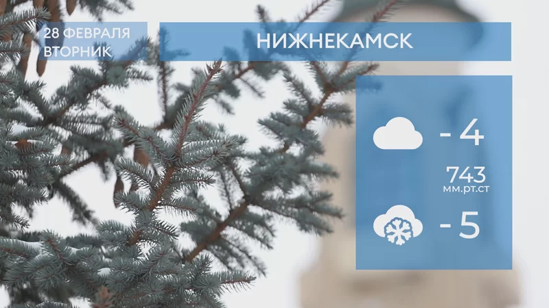 Прогноз погоды в Нижнекамске на 28-е февраля 2023 года
