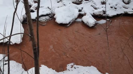 В Нижнекамске экологи отобрали пробы воды в реке Стрелочный Лог после жалоб жителей