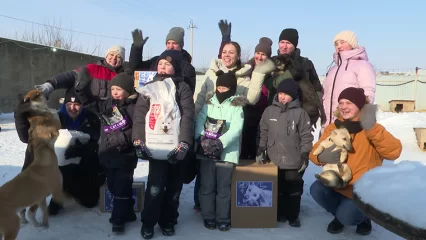 В Нижнекамске дети с ОВЗ передали приюту для бездомных собак запасы корма - НТР 24