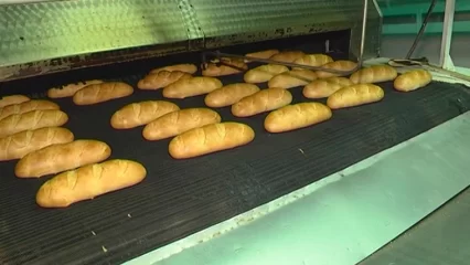 В Татарстане построят новый хлебобулочный комбинат - НТР 24