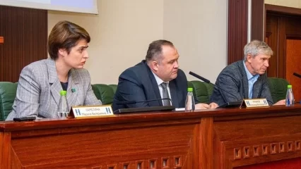 В Нижнекамске прошло заседание комиссий по экологии, охране здоровья и соцзащите - НТР 24
