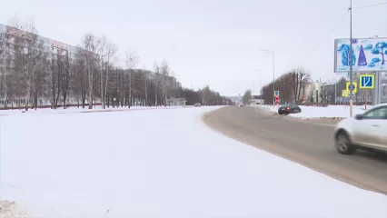 В Нижнекамске у трактористов будут вычитать деньги из зарплаты за каждое сломанное молодое деревце - НТР 24