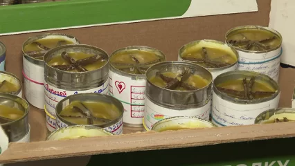 В Нижнекамске волонтеры начали изготавливать для солдат окопные свечи - НТР 24