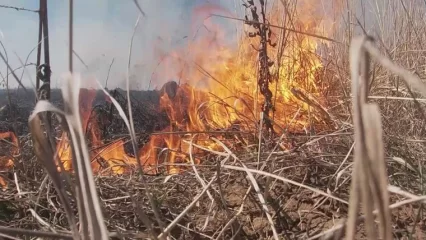 В Татарстане пожароопасный сезон установят с 15 апреля