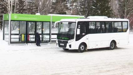 Только для автобусов: на каких улицах в Нижнекамске возможно появление отдельных полос