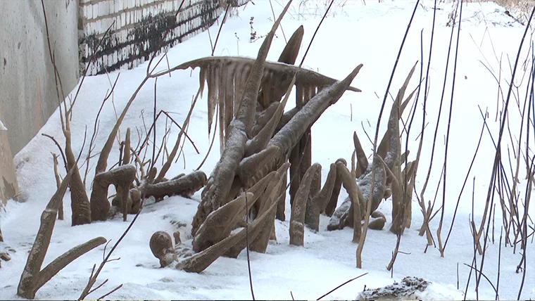 В Нижнекамске экологи обнаружили участок рядом с кладбищем, загрязненный грунтом