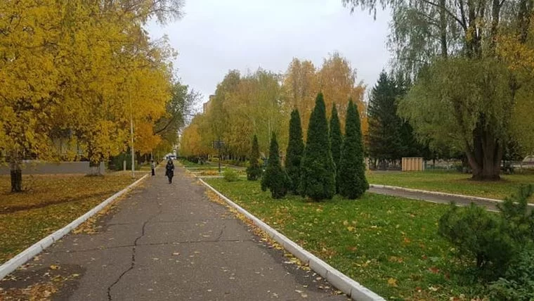 На реконструкцию Школьного бульвара в Нижнекамске выделено 80 млн рублей