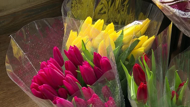 Тюльпаны, розы, мимозы: какие цветы покупают нижнекамцы на 8 Марта чаще всего