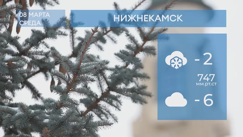 Прогноз погоды в Нижнекамске на 8-е марта 2023 года