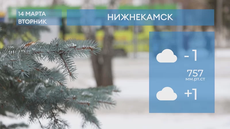 Прогноз погоды в Нижнекамске на 14-е марта 2023 года