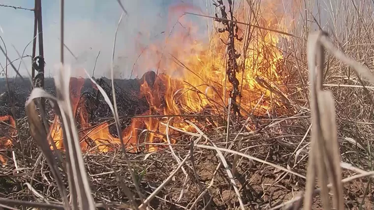В Татарстане пожароопасный сезон начнется раньше срока из-за ранней весны