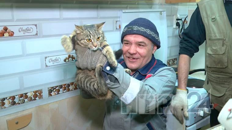 В Нижнекамске коммунальщики провели операцию по спасению кошки из вентиляции