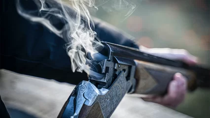 Опубликованы сроки весеннего сезона охоты в Татарстане - НТР 24