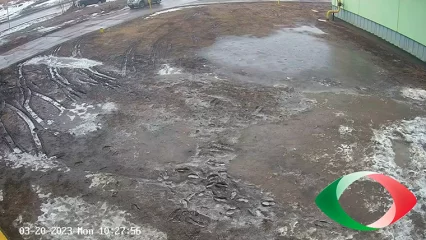 Жителям Нижнекамска показали, во что автомобилисты превратили за зиму газоны - НТР 24