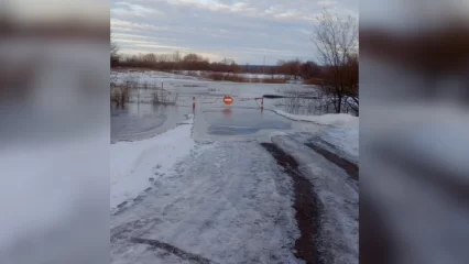 В Татарстане подтопило три низководных моста - НТР 24