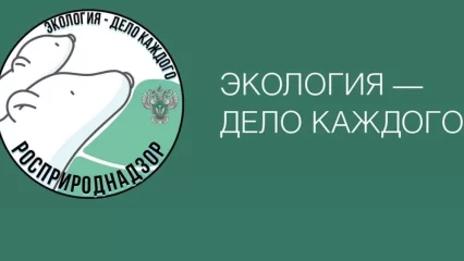 Нижнекамцы могут выиграть поездку на море в экологической премии - НТР 24