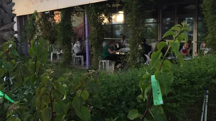 Для предпринимателей упростили порядок размещения летних кафе - НТР 24