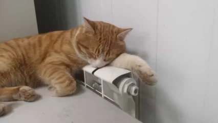 Жителям Татарстана рассказали, как определяется дата окончания отопительного сезона - НТР 24